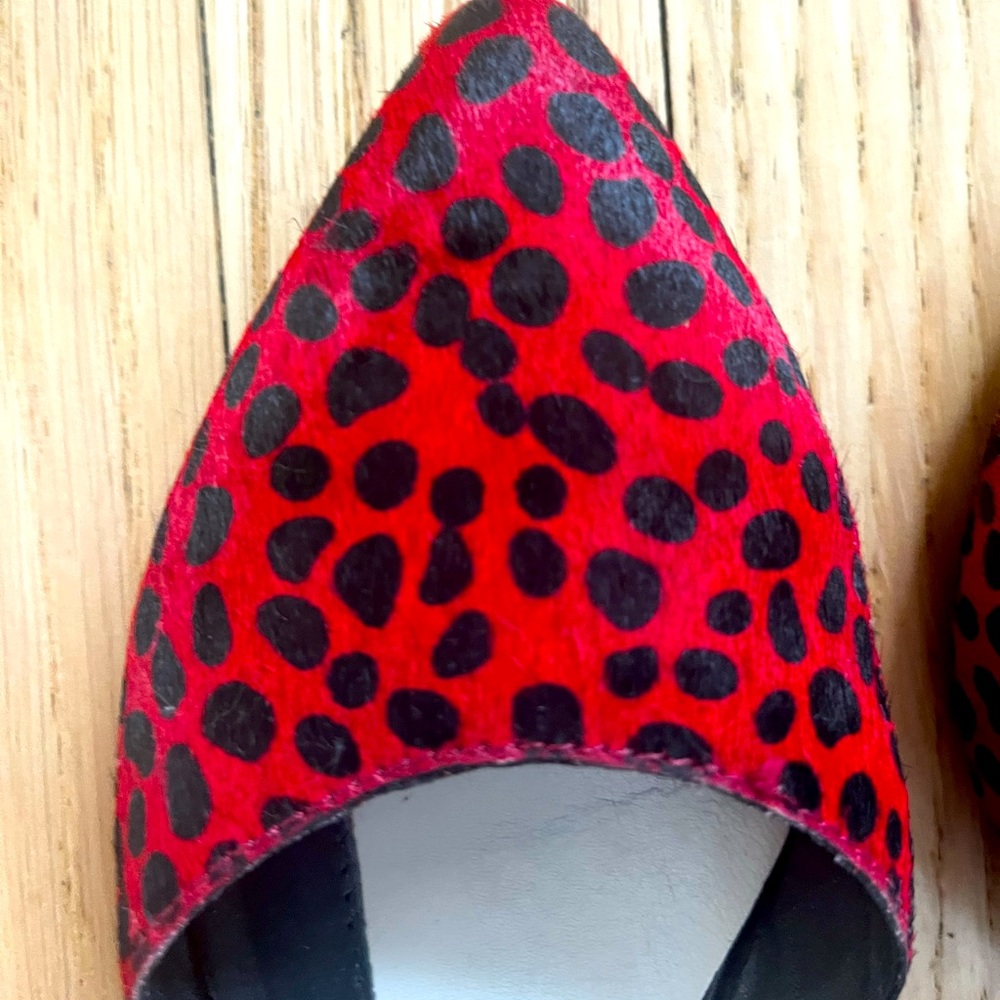 Cute Alice + Olivia flats